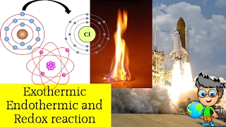 Chemistry – ExothermicEndothermic and Redox reaction – CBSE in Hindi [upl. by Einehpets]