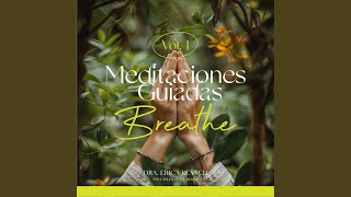 Meditación Guiada Ansiedad [upl. by Nyluqcaj]