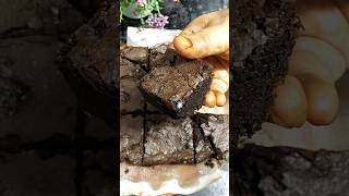 Chocolate brownie recipe 😋❤️😍shortvideo recipe cooking easyrecipe [upl. by Tobit133]