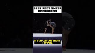 John Danahers Best Footsweep Breakdown  BJJ Breakdown [upl. by Ayeki]