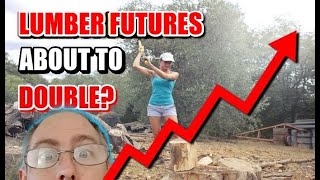 Why lumber futures are about the skyrocket [upl. by Avictor]