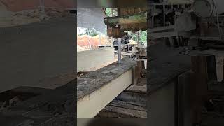 buat bahan papan dari batang kayu Meranti bandsaw wood sawmill [upl. by Nanaj]