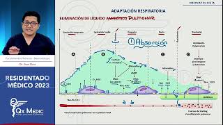 Adaptacion respiratoria en RN [upl. by Negah]