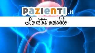 Che cosè la cistite maschile [upl. by Ylesara]