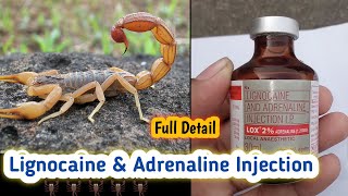 Lignocaine amp Adrenaline Injection 💉 Full details Video [upl. by Rieth]