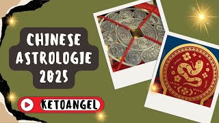 Chinese Astrologie 2025 Horoscoop en Voorspellingen voor het Jaar van de Houten Slang [upl. by Pump]