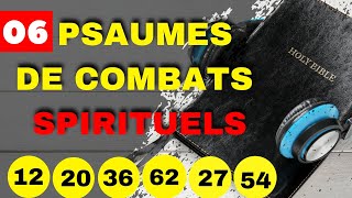 Psaume 12203662275406 psaumes de combat amp delivranceversets bibliques de combats spirituels [upl. by Eltsirhc]