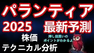 2025年パランティア投資戦略 押し目買いのポイントを解説 [upl. by Gintz252]