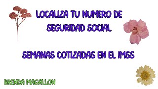 ¿Cómo localizar mi número de seguridad social ¿Cómo sacar mis semanas cotizadas del IMSS 2024 [upl. by Devan]