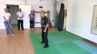 Sifu Lo Man Kam teachs in Switzerland  Wädenswil 02062014 [upl. by Christen]