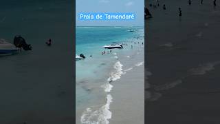 Tamandaré pernambuco 🇧🇷 [upl. by Hudson739]