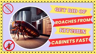 How To Get Rid Of Cockroaches In Kitchen Cabinets Quick Solution [upl. by Yemrej]