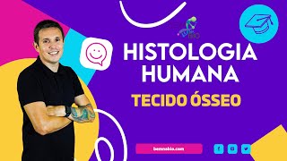 Histologia Humana  Tecido Ósseo [upl. by Jair619]