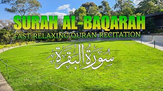 Surah Al Baqarah Full سورة البقره HEART TOUCHING RECITATION  Beauties of Australia [upl. by Ozmo]