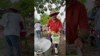 Echando verduras hazmeviralenyoutube campo comida [upl. by Nyrmac]