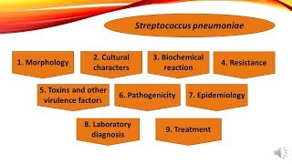 Disease caused by Streptococcus pneumoniae in Hindi [upl. by Yttel]