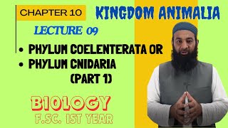 Phylum CoelenterataCnidaria I Chapter 10 I FSc I First Year I biology I Lec 09 [upl. by Chryste]