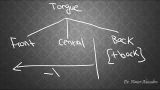 PHONETICS7 Describing English Vowels [upl. by Lisandra]