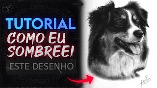 Tutorial Pouco Acelerado  Como Sombrer um Cachorro 100 a Carvão [upl. by Adeline271]