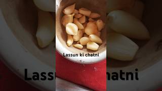 Garlic ki instant bnne wali chtni like subscribe support [upl. by Rebane]