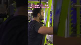 Reverse fly gymmotivation shoulderworkout gymlife gymshorts [upl. by Nerreg]