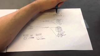 DNA and RNA Viruses Mnemonic for USMLE Step 1 [upl. by Foster]