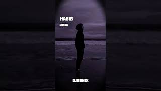 Habib  Donya  Dj benix Remix [upl. by Reibaj]