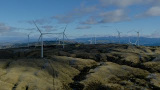 Harapaki Wind Farm is all go and delivering for NZ [upl. by Nayllij]