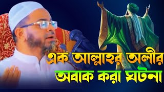 এক আল্লাহর অলীর অবাগ করা ঘটনা  nasir uddin ansari new waz  নাসির উদ্দিন আনসারী [upl. by Antoinette]