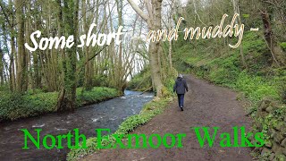 Some short north Exmoor walks [upl. by Sanford507]