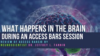 Review of Access Bars® by Neuroscientist Dr Jeffrey L Fannin [upl. by Elliott350]