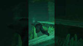 GTA V  Secret Underwater Briefcase Locations XBOX PC PS4 PS5 gta5ecrets gta gtaonline [upl. by Salb19]