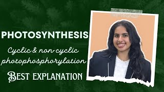 Photosynthesis  Part 4  NEET  Class 11  cyclic amp non cyclic photophosphorylation  Palak Narang [upl. by Sigsmond]