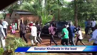 Boni Khalwale Leads Bull Fight in Ikolomani [upl. by Ahasuerus]