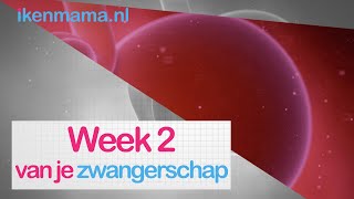 2 weken zwanger Bekijk eerste symptomen en meer informatie over je baby  ikenmamanl [upl. by Dierdre]