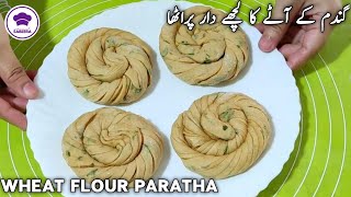 Lachedar Crispy Masala Paratha Recipe  Wheat Flour Crispy Paratha Recipe [upl. by Nillor]