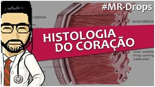 Histologia do Coração Endocárdio Miocárdio e Epicárdio  MRDrops [upl. by Nallid]