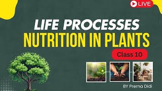 Life Processes🔥 Nutrition in Plants  CLASS 10 Science  NCERT line by line [upl. by Yentyrb490]