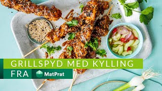 Kyllingspyd med satay  TRIKS  MatPrat [upl. by Lesde724]