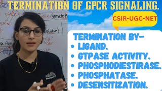 Termination of GPCR Signaling Pathway  Termination by Ligand GTPase Phosphatase Desensitization [upl. by Carlin260]