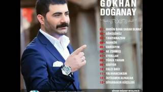 GÖKHAN DOĞANAY GÖRÜŞÜRÜZ FULL ALBÜM 2016 [upl. by Oiramrej]