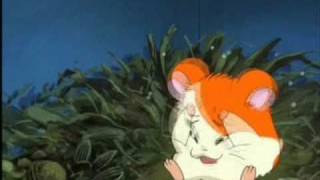 Hamtaro AMV  distance [upl. by Firahs]