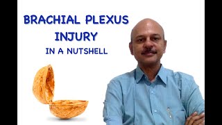 Adult Brachial Plexus Injuries in a nutshell [upl. by Moira131]