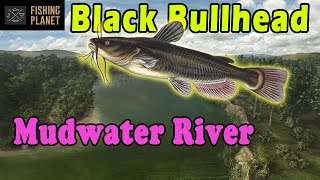 Black Bullhead  Mudwater River  Fishing Planet  Beginners Guide  How to Catch [upl. by Vola]