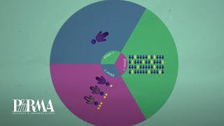 The Drug Discovery Process [upl. by Gaiser]