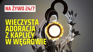 Adoracja Najświętszego Sakramentu z Kaplicy Wieczystej Adoracji w Węgrowie  transmisja na żywo 247 [upl. by Bencion]