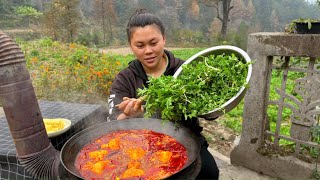 今天挖了各种新鲜野菜，做个香辣的猪油火锅吃过瘾 Today I dug up a lot of wild vegetables to make hotpot [upl. by Minnnie]