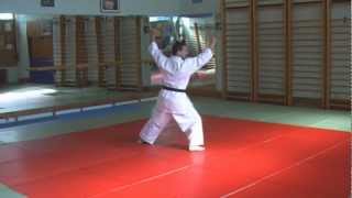 Nanbudo INF  performing the kata for competition  Shoshin yondan [upl. by Gersham535]