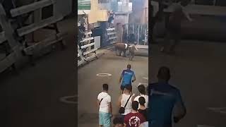 VACA BRAVA UN CHULO DE BARRIO LE TIRA SU CAMISETA Y RECIBE SU MERECIDO TOROSCERRILES toros bous [upl. by Nigam794]