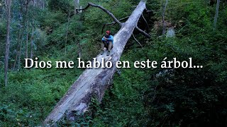 TU ANSIEDAD SE CALMARÁ Escuchalo en las noches  Dios me hablo en este arbol [upl. by Anwahsit]